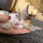 Profielfoto voor Laura L