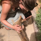 Profilbild für Samira B