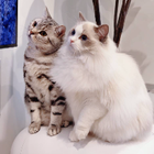 Avatar for Jessica L