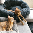 Profielfoto voor Jacqueline K