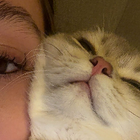 Profilbild für Tiana F