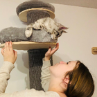 Profilbild für Lilian P