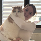 Profilbild für Tina T