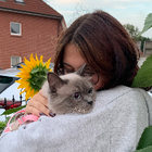 Profilbild für Emma G