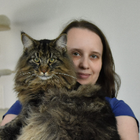 Profilbild für Hajni S