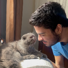 Profilbild für Denizcan D