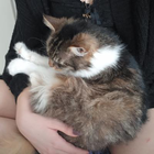 Profilbild für Hellen B
