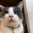 Avatar for Damaris A