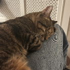 Avatar for Nastasja B