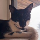 Avatar for Thibaut Y