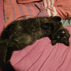 Profilbild für Joy B