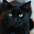 Avatar for Natalie E