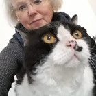 Profilbild für Erika A