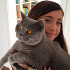 Profilbild für Anastasia M