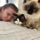 Profilbild für Finola R