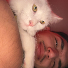 Avatar pour Djemailji H