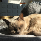 Profilbild für Sophie W