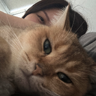 Avatar for Sui (Candice) N