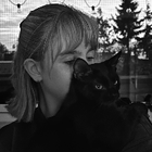 Profilbild für Amelie W