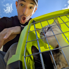 Avatar pour Naoufel M