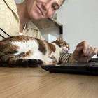 Profilbild für Tabea V