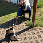 Profilbild für Clara J