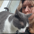 Avatar pour Juliette D