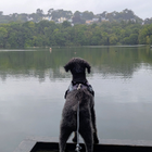 Avatar for Janelle W