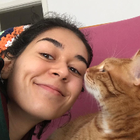 Profilbild für Sule Y