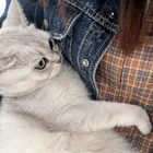 Avatar for Viviana M