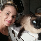 Profilbild für Susan K