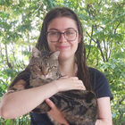 Profilbild für Johanna S