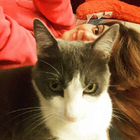 Profilbild für Barbara B
