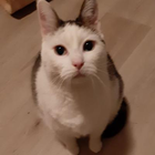 Profilbild für Mike F
