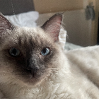 Avatar for Tairick M