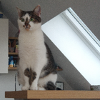 Profilbild für Britta J