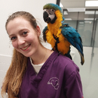 Avatar pour Margaux B