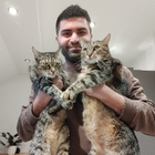 Profilbild für Bardia D