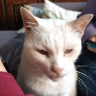 Profielfoto voor Elise V