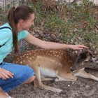 Avatar for Kateryna V