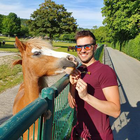 Profilbild für Fabio P