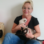 Profilbild für Heidi S