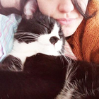 Profielfoto voor Raissa L