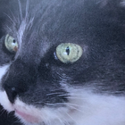 Avatar pour Corinne P