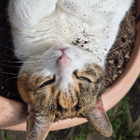 Profilbild für Lena T