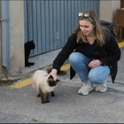 Profilbild für Rahel H