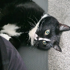 Avatar for Cassandra K