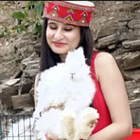 Avatar for Gursimran K