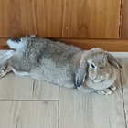 Avatar for Belinda M