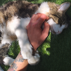 Profilbild für Freddy C